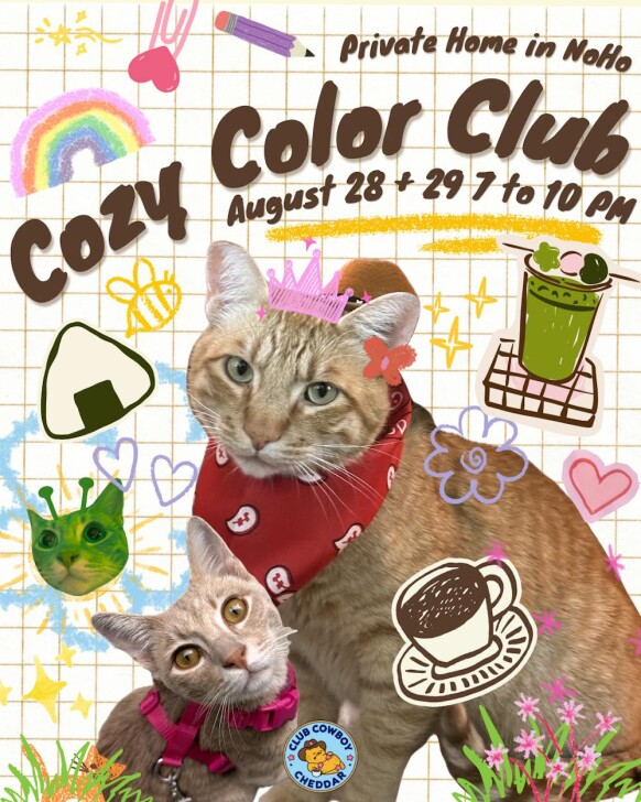 cozy color club: evening hours 🌙