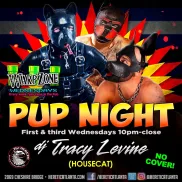 Pup Night