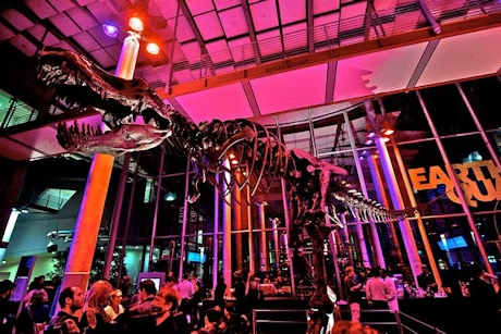 🌈 Academy of Sciences Pride Night 🦩✨