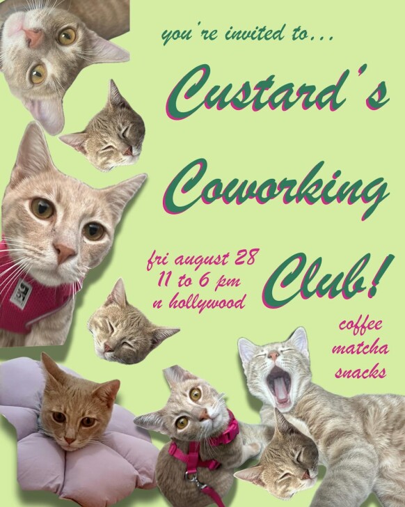custard’s coworking club